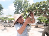 Nghệ nhân Nguyễn Văn Khuyến: Hơn nửa đời “thổi hồn” vào gỗ và bonsai