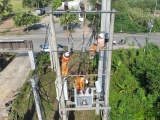 Công ty Điện lực Nghệ An: Ra quân giải phóng hành lang an toàn lưới điện cao áp, xử lý khiếm khuyết lưới điện
