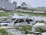 Yêu cầu báo cáo tình hình thiệt hại và bồi thường bảo hiểm do ảnh hưởng của bão lũ
