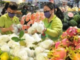 Xuất khẩu rau quả tăng trưởng mạnh mẽ, lập kỷ lục cao nhất từ trước đến nay