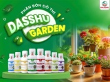 Dasshu Garden - Bí quyết giúp cây trồng trong nhà khoẻ mạnh, xanh tốt