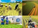 Xây dựng chuỗi giá trị xanh, đẩy mạnh liên kết vùng trong nông nghiệp Việt Nam