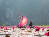 Ninh Bình tổ chức chương trình 'Sắc hồng Tam Cốc 2025 - Bản tình ca mùa Thu'