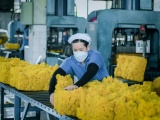 Ngành cao su Việt dự kiến đạt 11,6 tỷ USD trong năm 2025