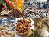 Xuất khẩu nông lâm thủy sản lập đỉnh 70 tỷ USD, khẳng định vị thế 'trụ đỡ' nền kinh tế