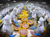 Ngành thủy sản Việt Nam lập kỷ lục 11,3 tỷ USD trong năm 2025