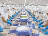 Top 10 doanh nghiệp xuất khẩu thủy sản lớn nhất năm 2025