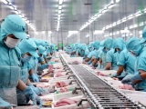 Xuất khẩu thủy sản Việt Nam bước vào giai đoạn mới