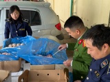 Phát hiện gần 2 tấn thực phẩm 'bẩn' chuẩn bị tiêu thụ dịp Tết Nguyên đán