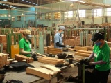 Ngành gỗ Việt Nam và bài toán thích ứng trước lộ trình EUDR