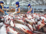 Bất chấp biến động toàn cầu, xuất khẩu thủy sản hướng tới mục tiêu 11,5 tỷ USD