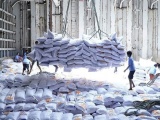 Nhu cầu nhập khẩu gạo của Philippines tăng vọt, Việt Nam giữ vững vị thế nhà cung cấp chủ lực