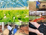 Ngành nông nghiệp chủ động chuyển đổi xanh để 'vượt sóng' biến động toàn cầu