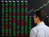 VN-Index thiết lập đỉnh 1.900 điểm: Dòng tiền phân hóa, nhà đầu tư nên làm gì?