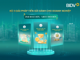 BIDV cung cấp giải pháp tiền gửi vượt trội cho doanh nghiệp 