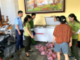 Thanh Hóa: Phát hiện 290 cá thể cò hương cấp đông chờ đưa đi tiêu thụ