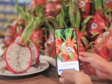 Truy xuất nguồn gốc nông sản: “Hạ tầng mềm” để bứt phá xuất khẩu bền vững