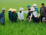 Từ 3,4 triệu hộ sản xuất giỏi, Hội Nông dân đặt mục tiêu hình thành 5.000 doanh nghiệp nông nghiệp