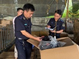 Hải quan phát hiện hơn 1.900 vụ buôn lậu, hàng giả trong một tháng