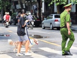 Từ 1/8, phạt tới 2 triệu đồng nếu dắt chó ra đường không rọ mõm