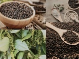 Xuất khẩu tăng tốc, doanh nghiệp hồ tiêu chủ động 'lá chắn' phòng ngừa rủi ro