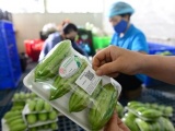 Từ 1/7/2026, chính thức vận hành Hệ thống truy xuất nguồn gốc nông sản toàn quốc 
