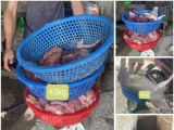 Thanh Hóa khởi tố 3 đối tượng mua bán, giết mổ lợn dịch bán ra thị trường