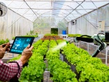 Phấn đấu đến năm 2030, cả nước có 500 tổ hợp tác ứng dụng công nghệ cao vào sản xuất