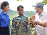 Quảng Ngãi: Tạo “sinh kế” cho đồng bào Xơ Đăng với 1 triệu cây giống cà phê