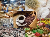 Xuất khẩu nông lâm thủy sản đạt gần 36 tỷ USD trong nửa đầu năm 