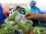 Bộ Công Thương tạm ngưng hiệu lực quy định truy xuất nguồn gốc thực phẩm đến hết 30/9