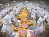 Ngành thủy sản Việt cần tháo gỡ 'điểm nghẽn' để bứt phá
