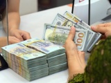 Vi phạm đăng ký doanh nghiệp có thể bị phạt đến 100 triệu đồng