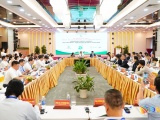 Đà Nẵng thúc đẩy hợp tác quốc tế, đưa sâm Ngọc Linh vươn tầm thương hiệu toàn cầu