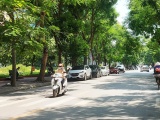 Dự báo thời tiết ngày và đêm 2/8: Bắc Bộ ngày nắng, chiều tối và đêm có mưa rào rải rác