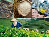 Chiến lược thúc đẩy xuất khẩu nông lâm thủy sản vượt ngưỡng 74 tỷ USD