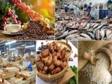 Xuất khẩu nông, lâm, thủy sản tăng trưởng ấn tượng, đạt gần 42,8 tỷ USD