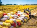 Giải pháp thúc đẩy xuất khẩu gạo, góp phần tăng trưởng 2 con số