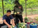 Sản phẩm Na La Hiên, Thái Nguyên – Nâng tầm thương hiệu trên thị trường nông sản