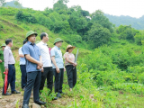 Thanh Hóa: Nước suối Xủ chuyển màu bất thường, địa phương đề nghị xác định nguyên nhân 