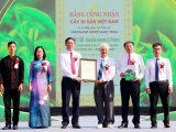 Quảng Ninh: Khai mạc lễ hội “Trà Đường Hoa” và đón Bằng công nhận Cây chè Di sản Việt Nam