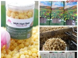 Đánh thức vùng đất trũng bằng khát vọng xây dựng thương hiệu Sen xứ Thanh