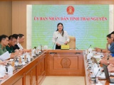 Thái Nguyên tăng tốc chuẩn bị Festival Trà Quốc tế năm 2026