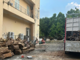 Vụ vận chuyển hơn 18m³ gỗ từ Thanh Hóa ra Hưng Yên: Xác định thuộc nhóm IA