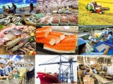 Gỡ 'nút thắt' vốn và ngoại ngữ cho doanh nghiệp xuất khẩu bứt phá
