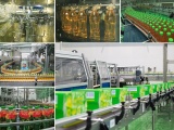 Thể chế tốt mở đường cho doanh nghiệp tích lũy nội lực 