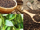 Ngành tiêu tăng tốc xuất khẩu và bài toán giữ thị phần