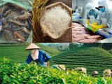 Biến danh tiếng vùng đất thành sức cạnh tranh cho hàng nông sản