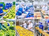 Doanh nghiệp Việt cần chuyển mạnh từ tư duy bán hàng sang phát triển thị trường
