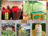 Xây dựng thương hiệu, mở rộng thị trường và gia tăng giá trị sản phẩm OCOP